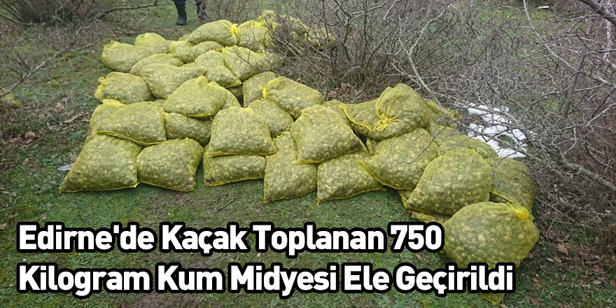 Edirne’de kaçak toplanan 750 kilogram kum midyesi ele geçirildi