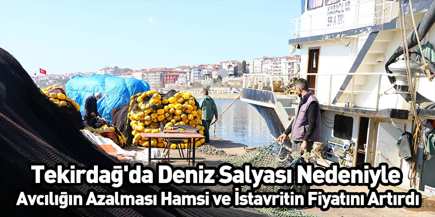 Tekirdağ’da deniz salyası nedeniyle avcılığın azalması hamsi ve istavritin fiyatını artırdı