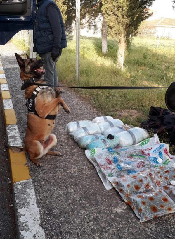 TIR’LA YURDA SOKULAN UYUŞTURUCUYU ‘LARİSSA’ BULDU