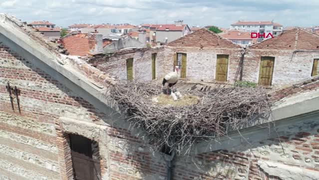 Edirne’de tarihi yapılar, leyleklere yuva oldu