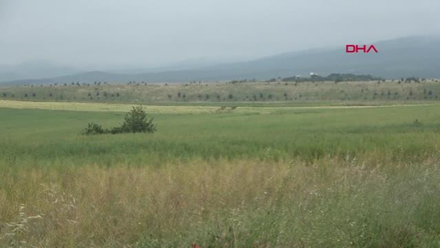 Edirne’de yağışlar çiftçiyi sevindirdi