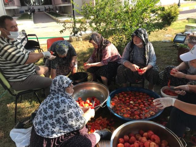 Edirne’de huzurevi sakinleri ektikleri domateslerin hasadını gerçekleştirip kışlık salçalarını yaptılar