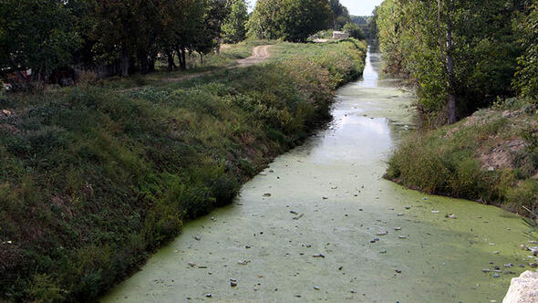 TUNCA NEHRİ OTLARLA KAPLANDI, BAYIR DERESİ ÇÖPLÜĞE DÖNDÜ