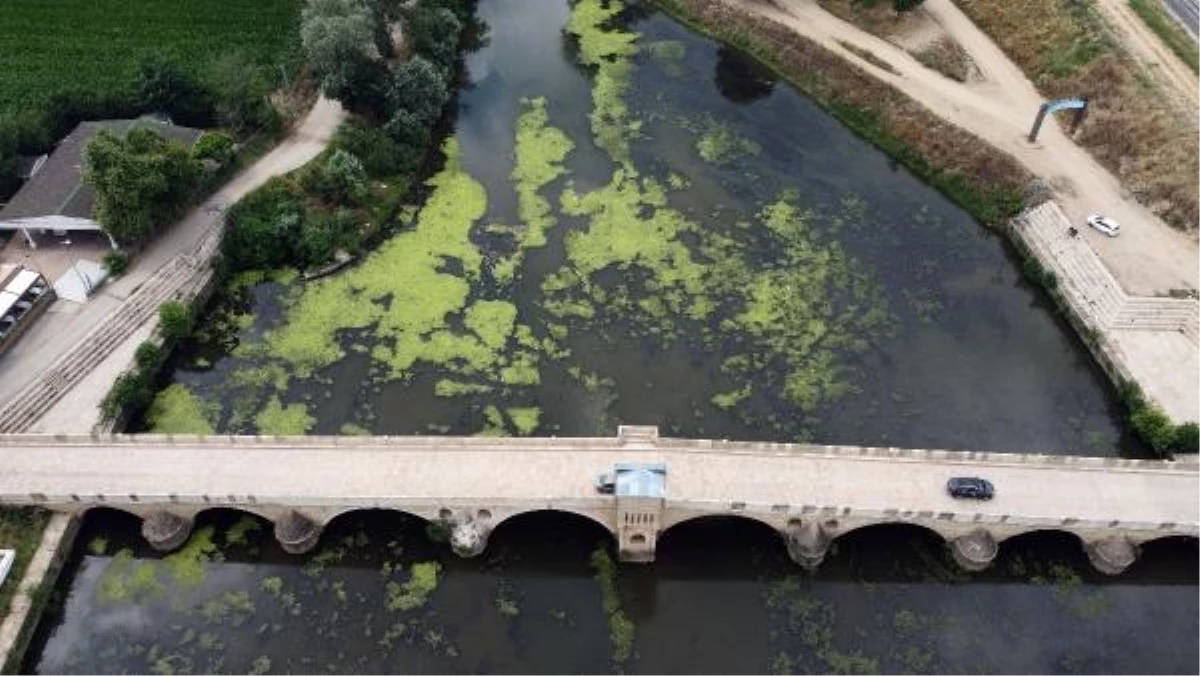 Tunca Nehri’nde Su Seviyesi Düşüyor ve Kirlilik Artıyor