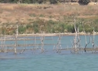 Tekirdağ’da Yazır Barajı Kuruma Noktasına Geldi