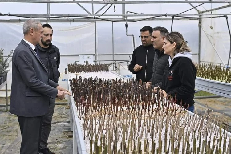 Süleymanpaşa Belediye Başkanı Hüseyin Uzunlar, ilçede yapılan çalışmaları inceledi