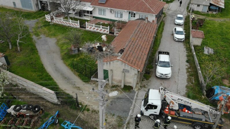 TREDAŞ’tan Leylek Yuvalarına Dron Destekli Bakım