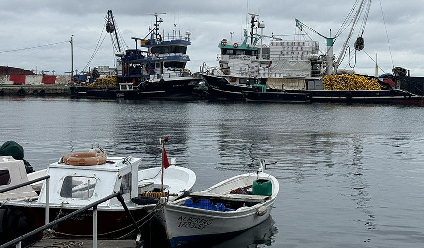 Karadeniz’de hamsi ve istavrit arayacaklar