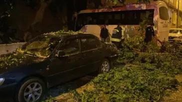 Çorlu’da üzerine ağaç devrilen otomobilde hasar oluştu