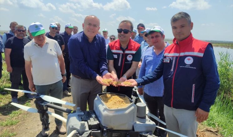 Edirne’de Dronla Çeltik Ekimi