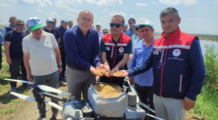 Edirne’de Dronla Çeltik Ekimi