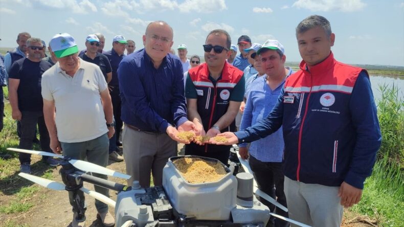 Edirne’de Dronla Çeltik Ekimi