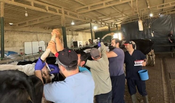 Keşan’da Hastalıktan Ari İşletmelere Denetim