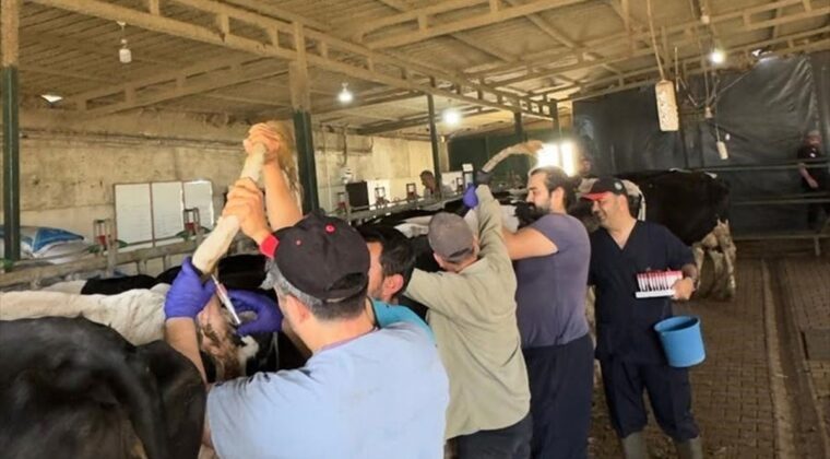 Keşan’da Hastalıktan Ari İşletmelere Denetim